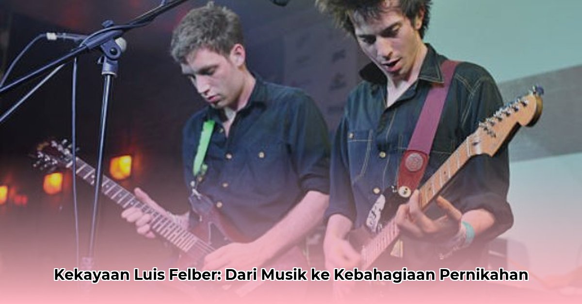 luis felber net worth